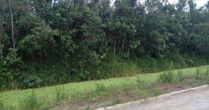 Terreno para Venda em Itanhaém, Jardim Coronel