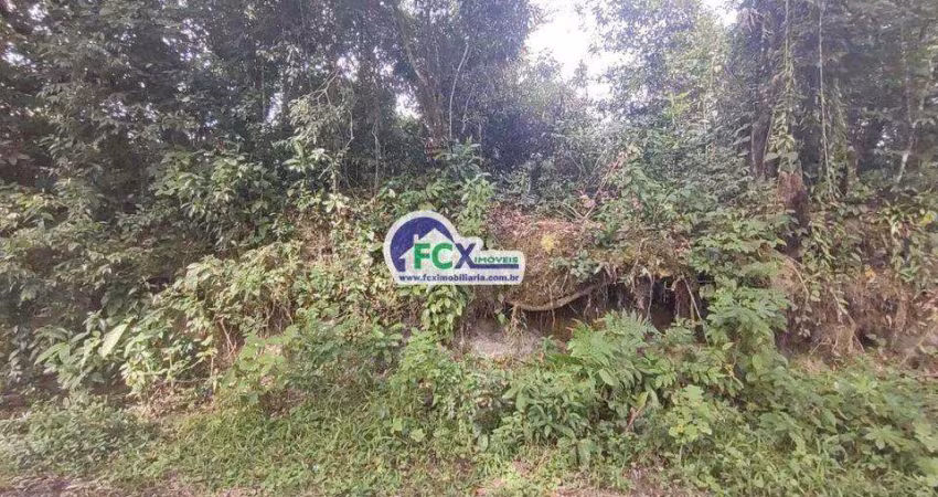 Terreno para Venda em Itanhaém, Jardim Coronel