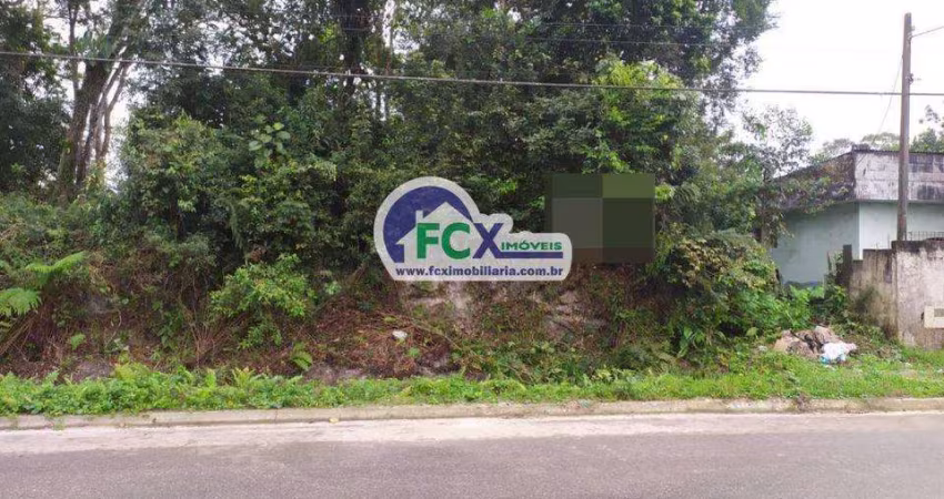 Terreno para Venda em Itanhaém, Jardim Coronel