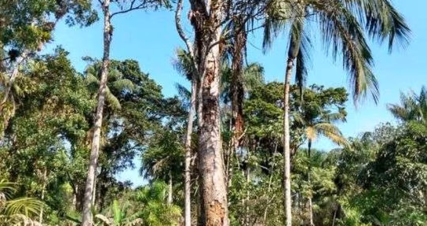 Terreno para Venda em Itanhaém, Balneário Gaivotas