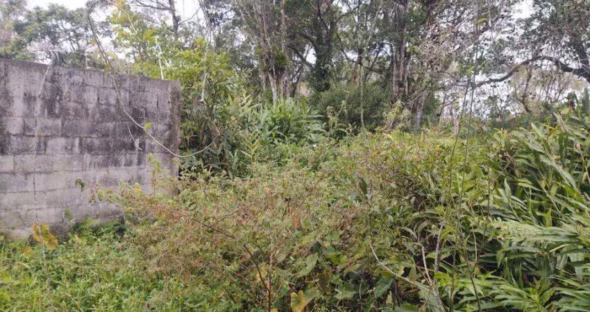 Terreno à venda em Luíza Mar Mirim, Itanhaém 