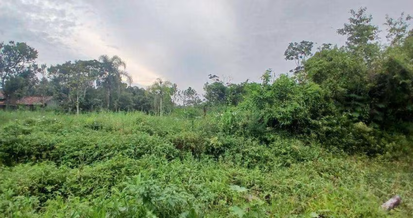Terreno para Venda em Itanhaém, Chácaras Glória