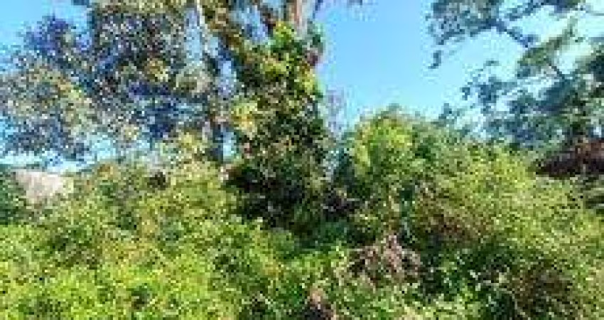 Terreno para Venda em Itanhaém, Jardim Coronel