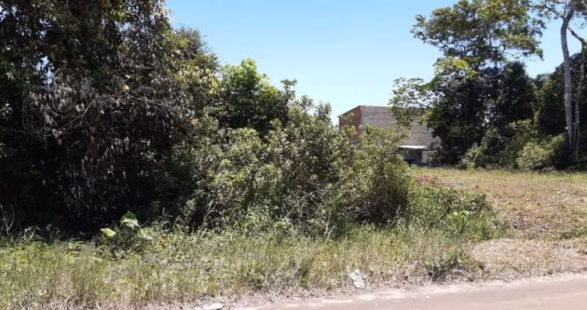 Terreno para Venda em Itanhaém, Jardim Guacyra