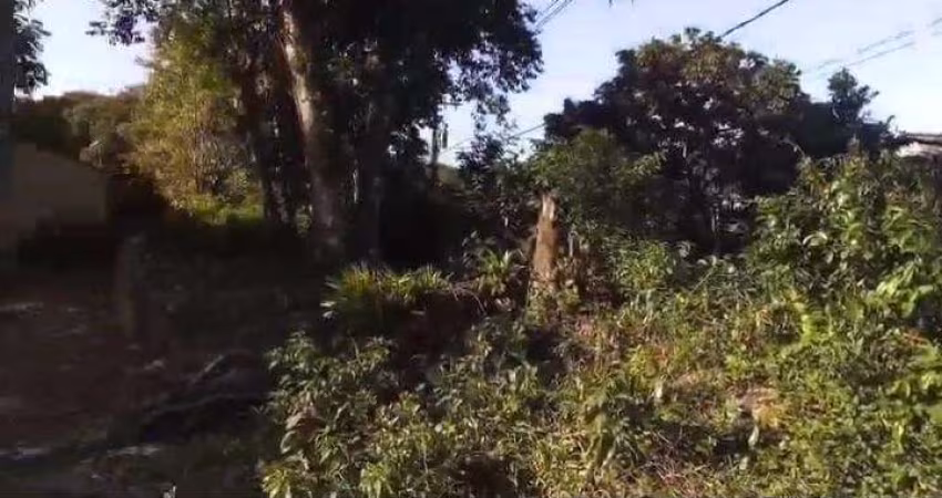 Terreno para Venda em Itanhaém, Jardim Coronel