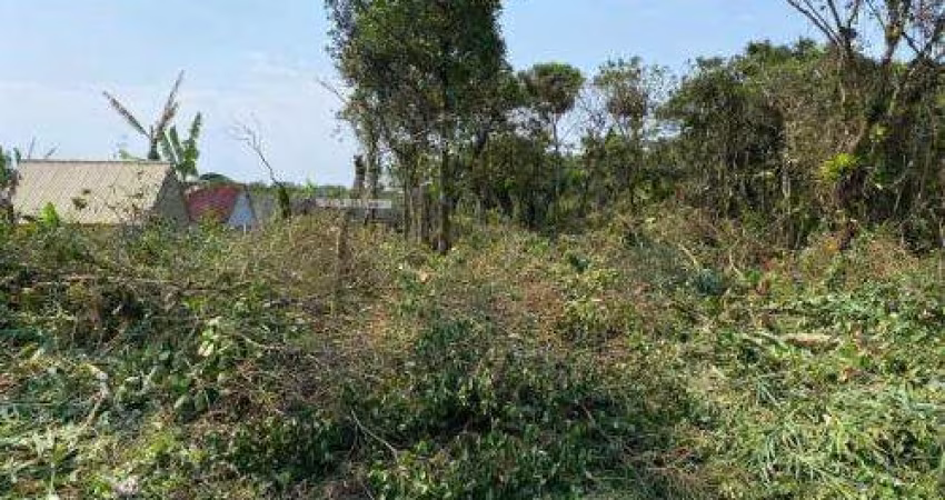 Terreno para Venda em Itanhaém, Chácaras Glória