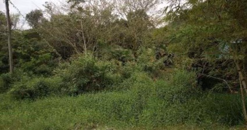 Terreno para Venda em Itanhaém, Jardim Aguapeu
