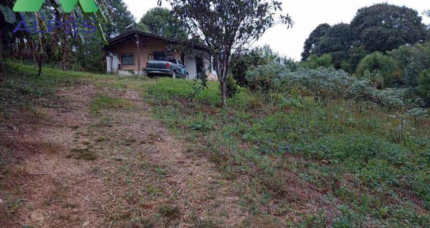 Chácara com 2 dormitórios para alugar, 48000 m² por R$ 2.500/mês - Rio do Cacho - Contenda/PR
