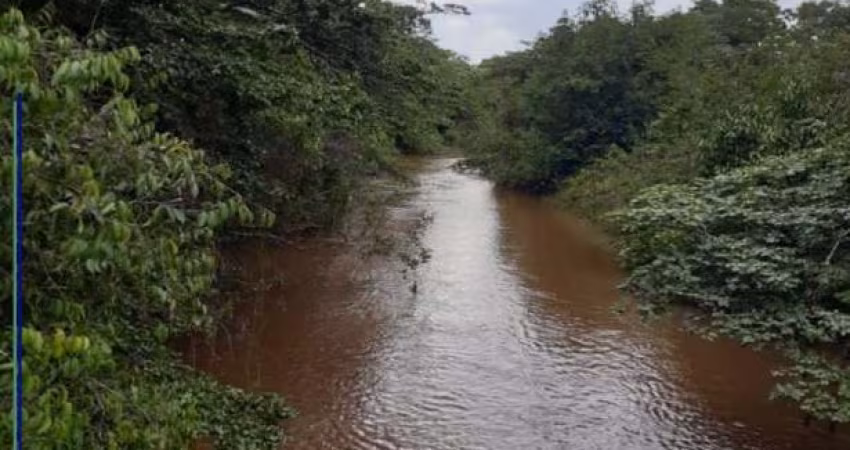 Fazenda com 4.000 hectares à venda Chapada Gaúcha - MG