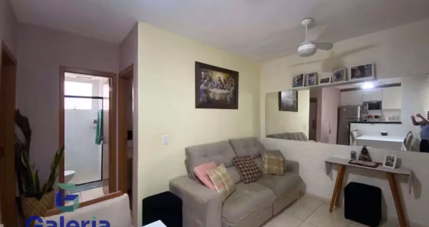 Apartamento com 2 quartos para alugar, 41m² - reserva real