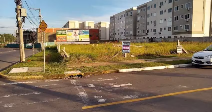 Terreno à venda na Avenida Armando Fajardo, --, Igara, Canoas