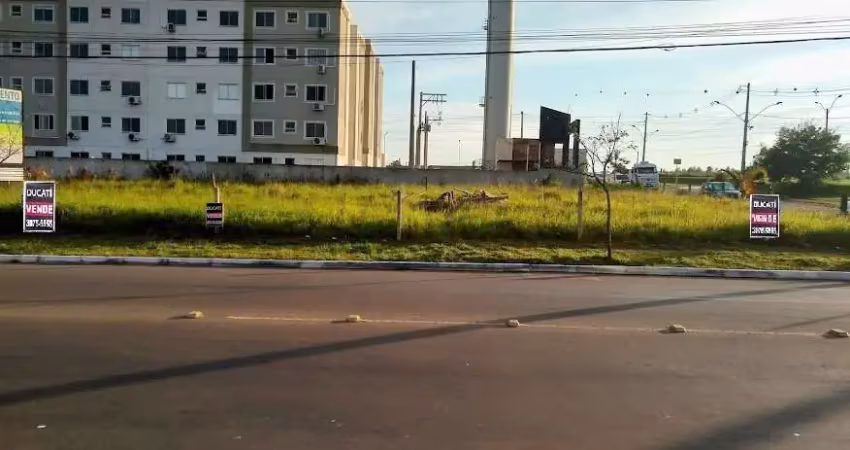 Terreno à venda na Avenida Armando Fajardo, --, Igara, Canoas