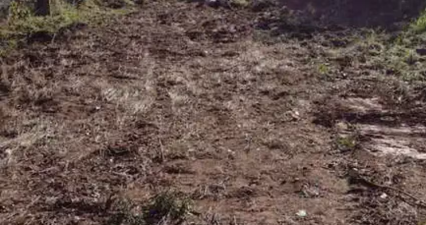 Terreno à venda na Rua Sete de Setembro, --, Nossa Senhora das Graças, Canoas