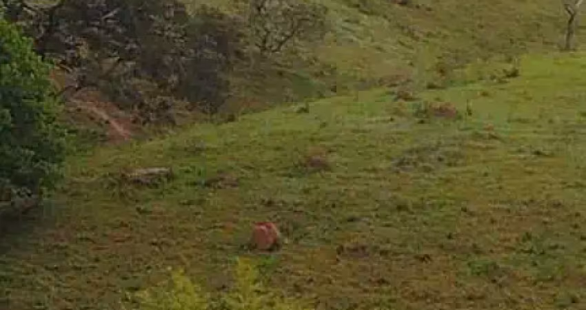Chácara / sítio à venda no Centro, Lagoinha 