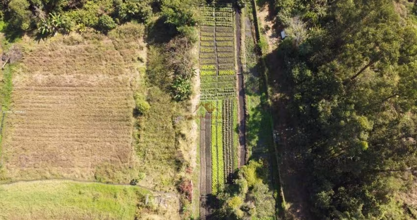 Terreno para Venda em Taubaté, Areao