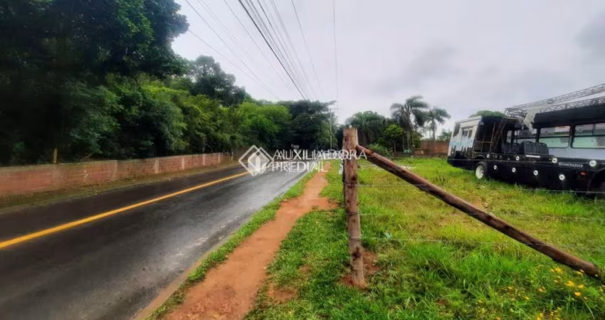 Terreno à venda na Rua Dolores Duran, 317, Lomba do Pinheiro, Porto Alegre