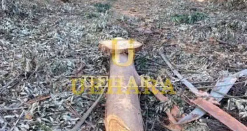 Terreno no centro de mairiporã - condomínio fechado