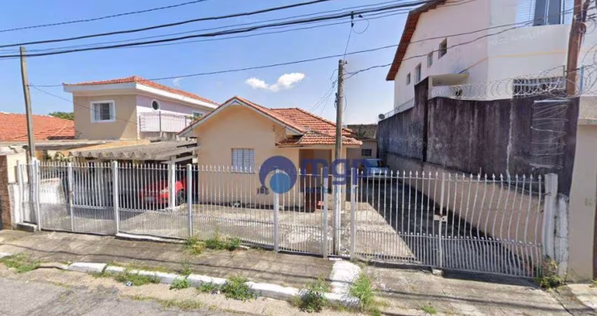 Terreno à venda, 350 m² por R$ 850.000,00 - Vila Constança - São Paulo/SP