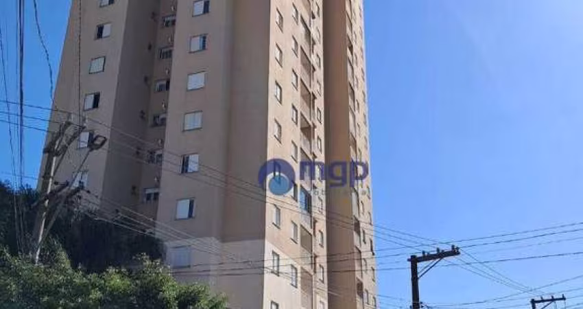 Apartamento com 3 dormitórios à venda, 65 m² por R$ 590.000,00 - Vila Maria Alta - São Paulo/SP