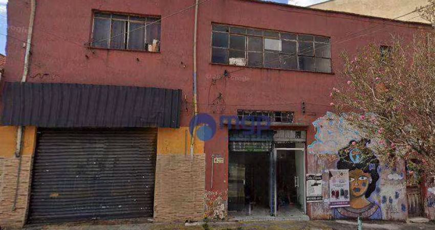 Terreno amplo, à venda na Vila Gustavo - 367 m² - São Paulo/SP