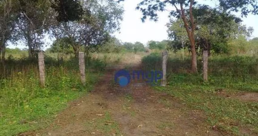Fazenda à venda em São Felix do Araguaia - 250 Hectares - São Felix do Araguaia/MT