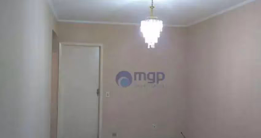 Apartamento com 2 quartos à venda na vila gustavo - 80 m² - são paulo/sp