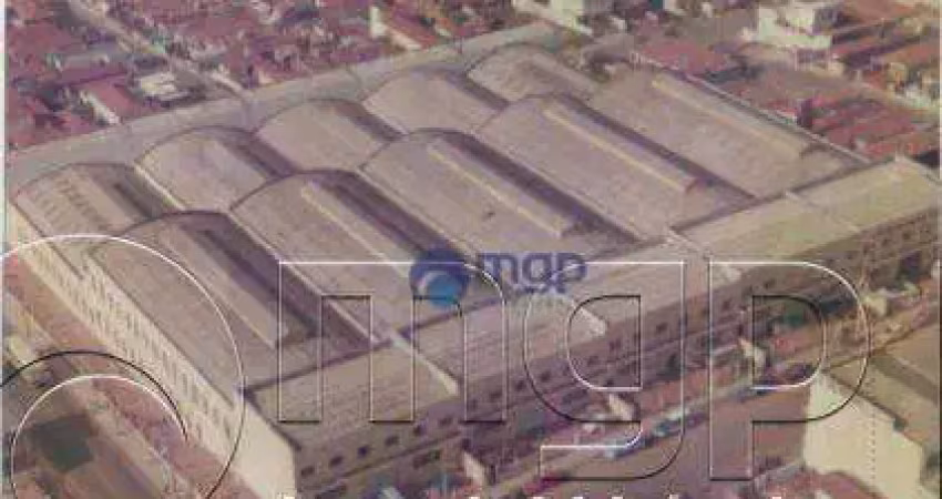 Galpão comercial para locação, vila antonieta, são paulo - .
