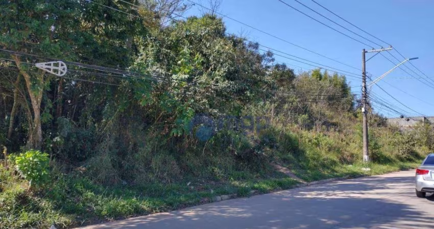 Terreno à venda, 4000 m² por R$ 1.400.000 - Moinho Velho - Cotia/SP