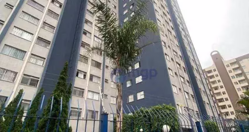 Apartamento com 2 quartos, 60 m² - venda ou aluguel - jardim andaraí - são paulo/sp