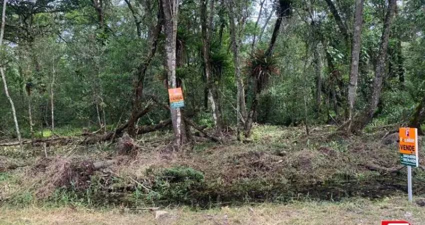 Terreno à venda na Estrada Bem Te Vi, Balneário Veredas, Itapoá