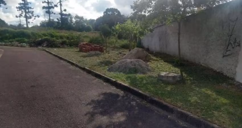 Terreno à venda na Rua Anastácia Gawleta Drobzenski, Costeira, Araucária