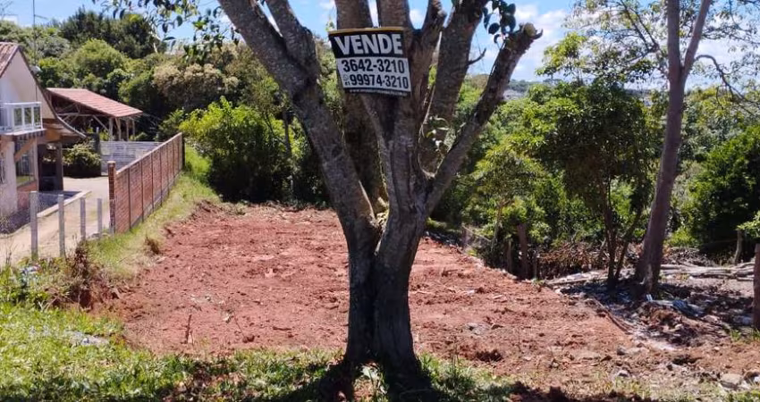 Terreno à venda na Rua Tocantins, 357, Campina da Barra, Araucária