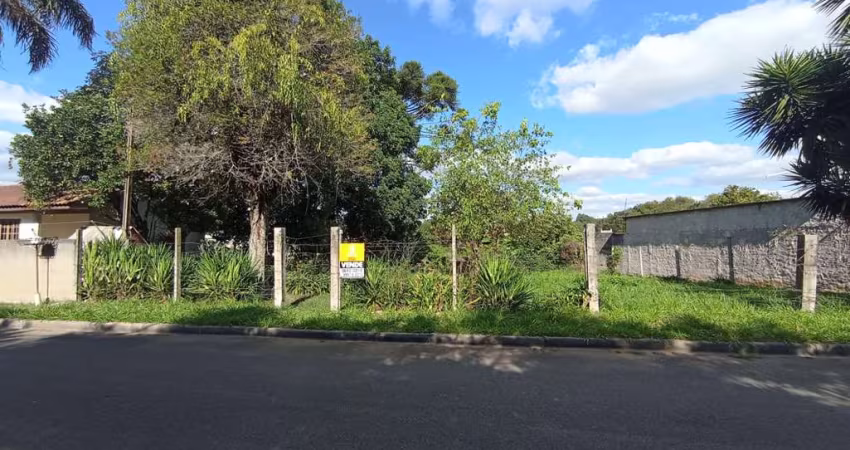 Terreno à venda na LEOPOLDO OKRASKA, 578, Jardim Nossa Senhora do Perpétuo Socorro, Campo Largo