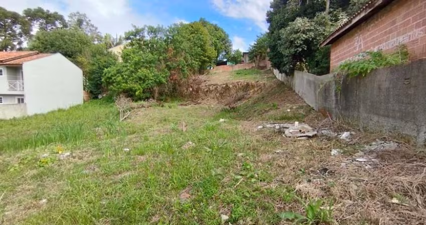 Terreno à venda na Rua Júlia Ohpis, Porto das Laranjeiras, Araucária