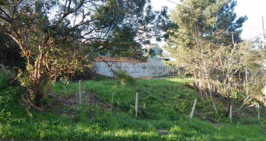 Terreno à venda, 1150 m² por R$ 650.000,00 - São João - Curitiba/PR
