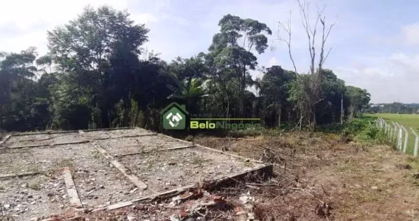 Terreno à venda na Rua Francisco Orlikoski, Thomaz Coelho, Araucária