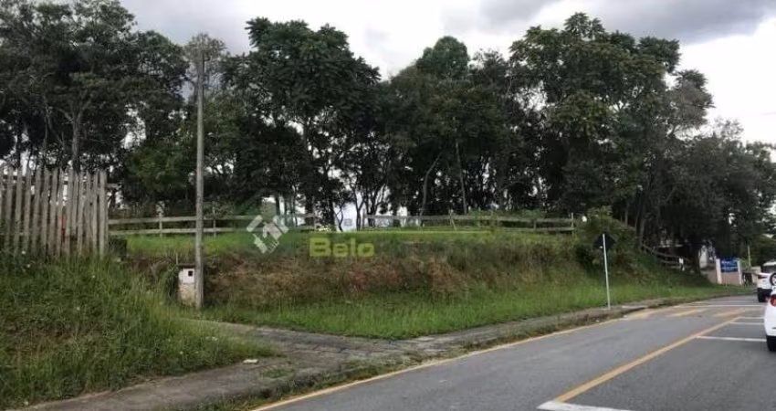 TERRENO - CENTRO - ARAUCARIA