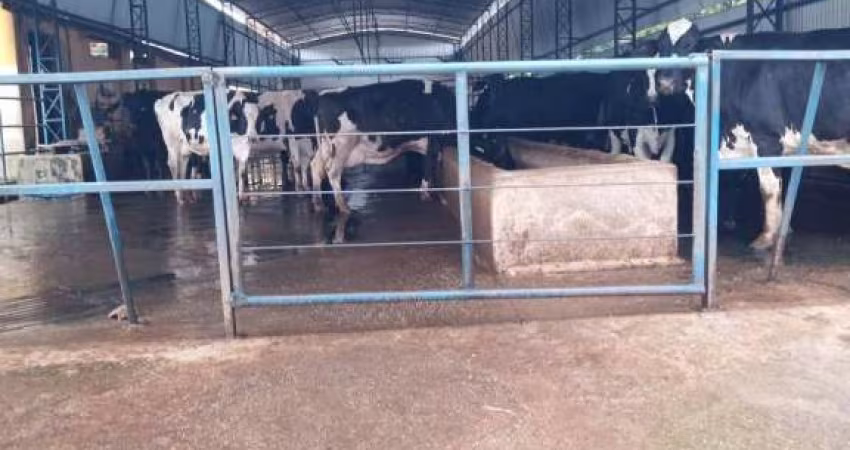 Fazenda á venda - 109 Hectares - localização entre Varginha e Pouso Alegre