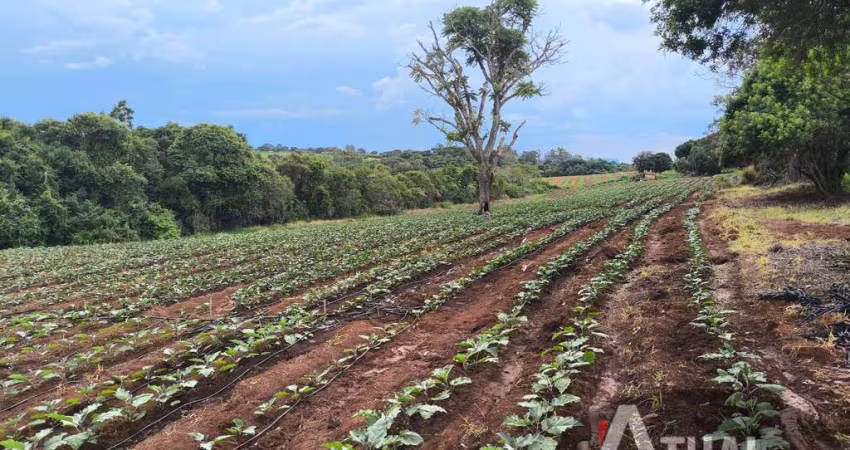 Fazenda de Café Produtiva – 47 Alqueires em Monte Santo de Minas