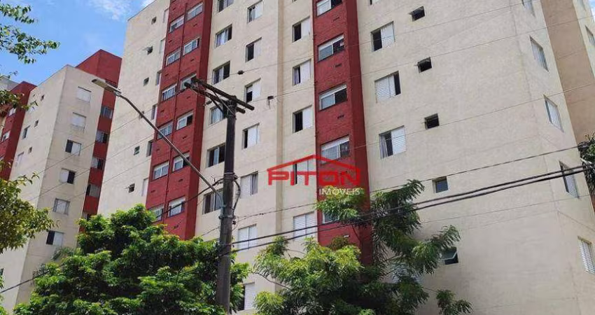 Apartamento - Vila Matilde - São Paulo/SP
