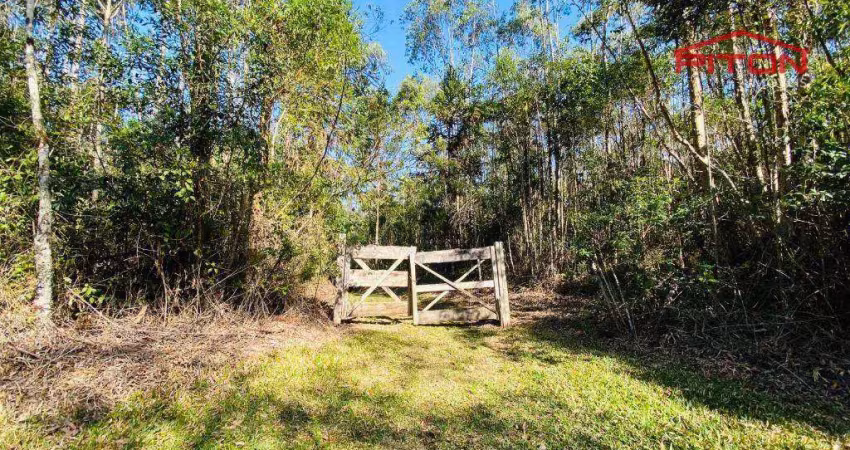 Chácara / sítio com 2 quartos à venda na Estrada Bairro do Monte Alegre, Centro, Piedade