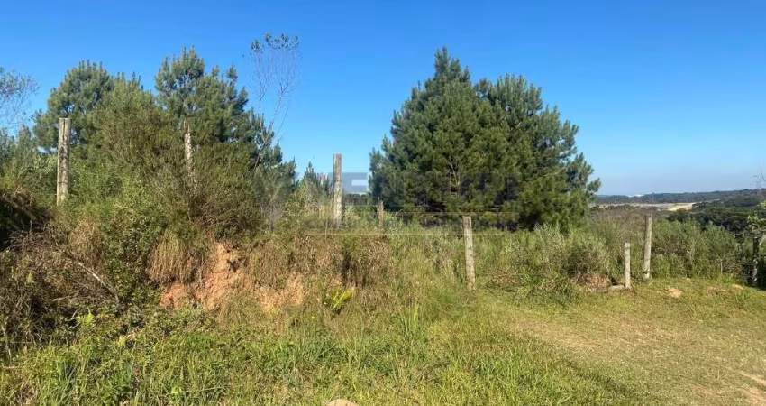 Terreno à venda na Rua Leonardo Difert, 896, Barro Preto, São José dos Pinhais