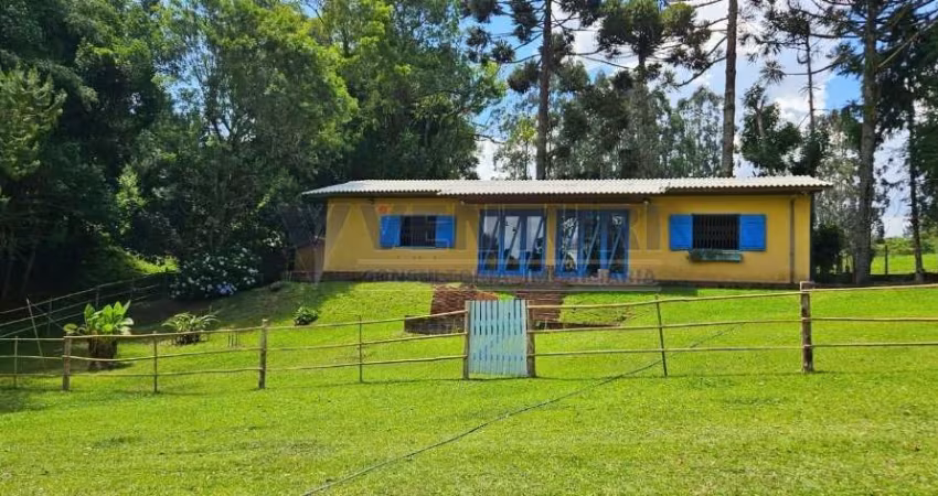 Chácara / sítio com 2 quartos à venda na Rua Artur Carvalho Da Rocha, 1450, Contenda, São José dos Pinhais