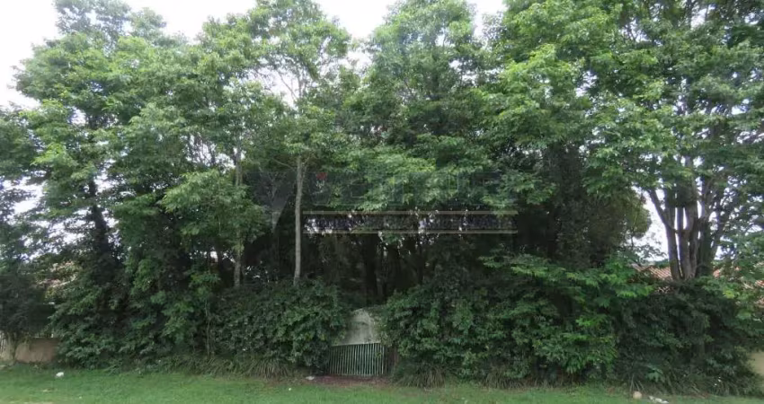 Chácara / sítio à venda na Avenida Alzira Berton Pauletto, 1185, Del Rey, São José dos Pinhais