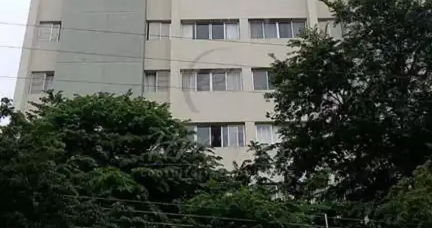 Apartamento à venda em campinas, jardim proença, com 2 quartos, com 70 m², edifício bel monte
