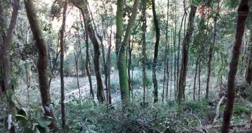 Terreno à venda na Alameda dos Pinheiros, 180, Capoavinha, Mairiporã