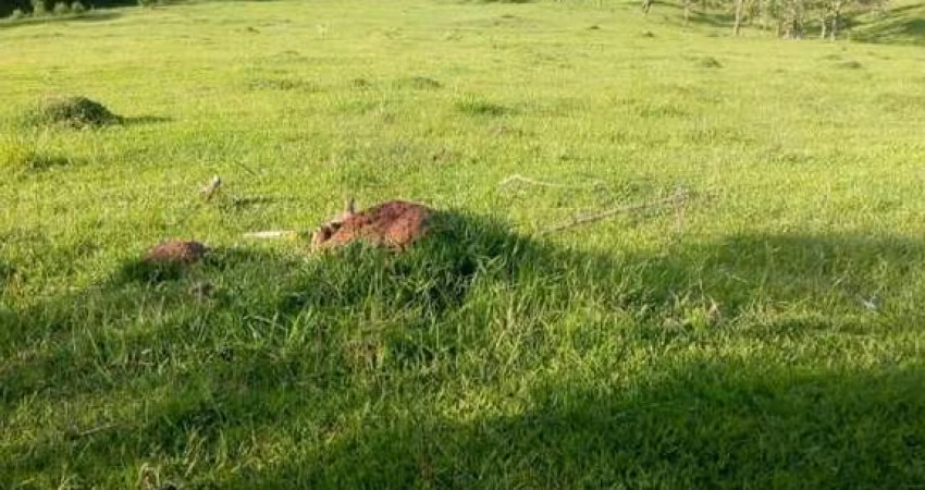 Terreno para Venda em Nazaré Paulista, Mascate