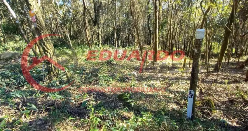 Terreno para Venda em Mairiporã, Mato Dentro