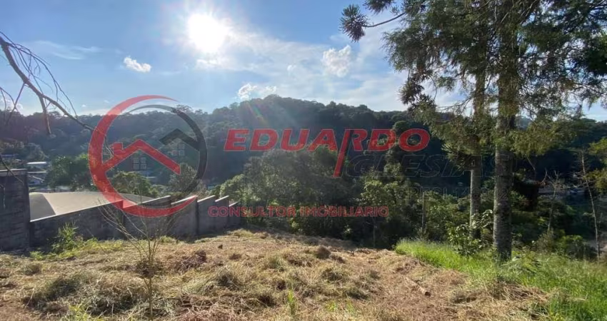Terreno para Venda em Mairiporã, Jardim Samambaia