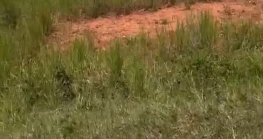 Terreno à venda na Rua 05, 40, Terra Preta, Mairiporã